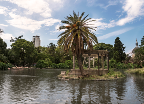 City Tours 1