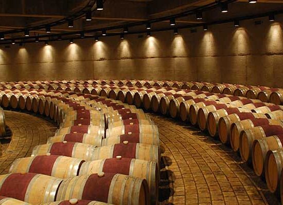 Mendoza y sus bodegas Mendoza y sus bodegas