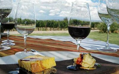 Mendoza y sus bodegas Mendoza y sus bodegas