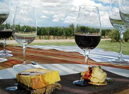 Mendoza y sus bodegas